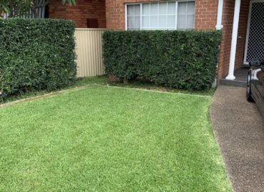 Carlton_Hedges_Cutting_&_Trimming