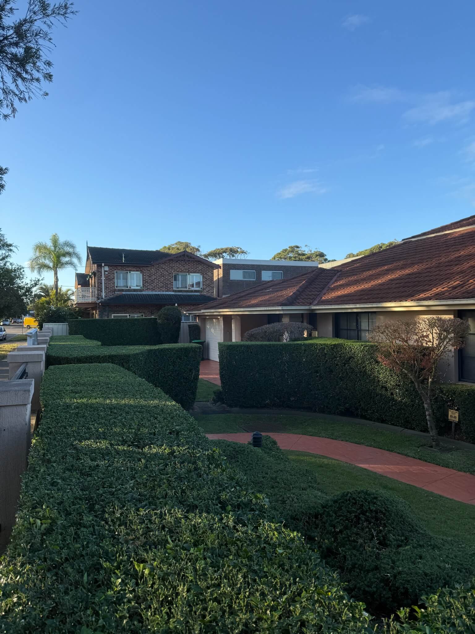 Garden after lawn and landscaping work