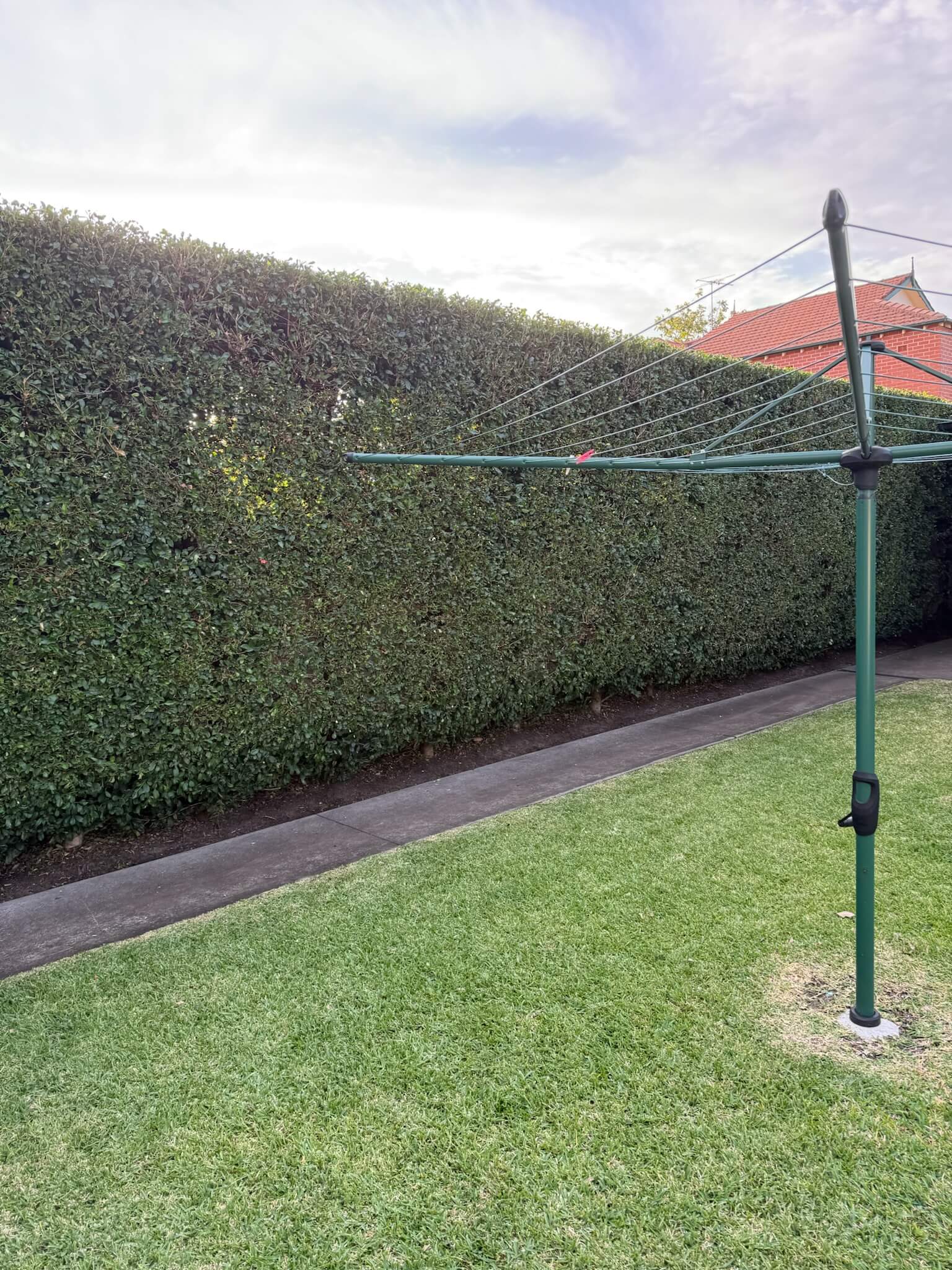Garden after lawn and landscaping work