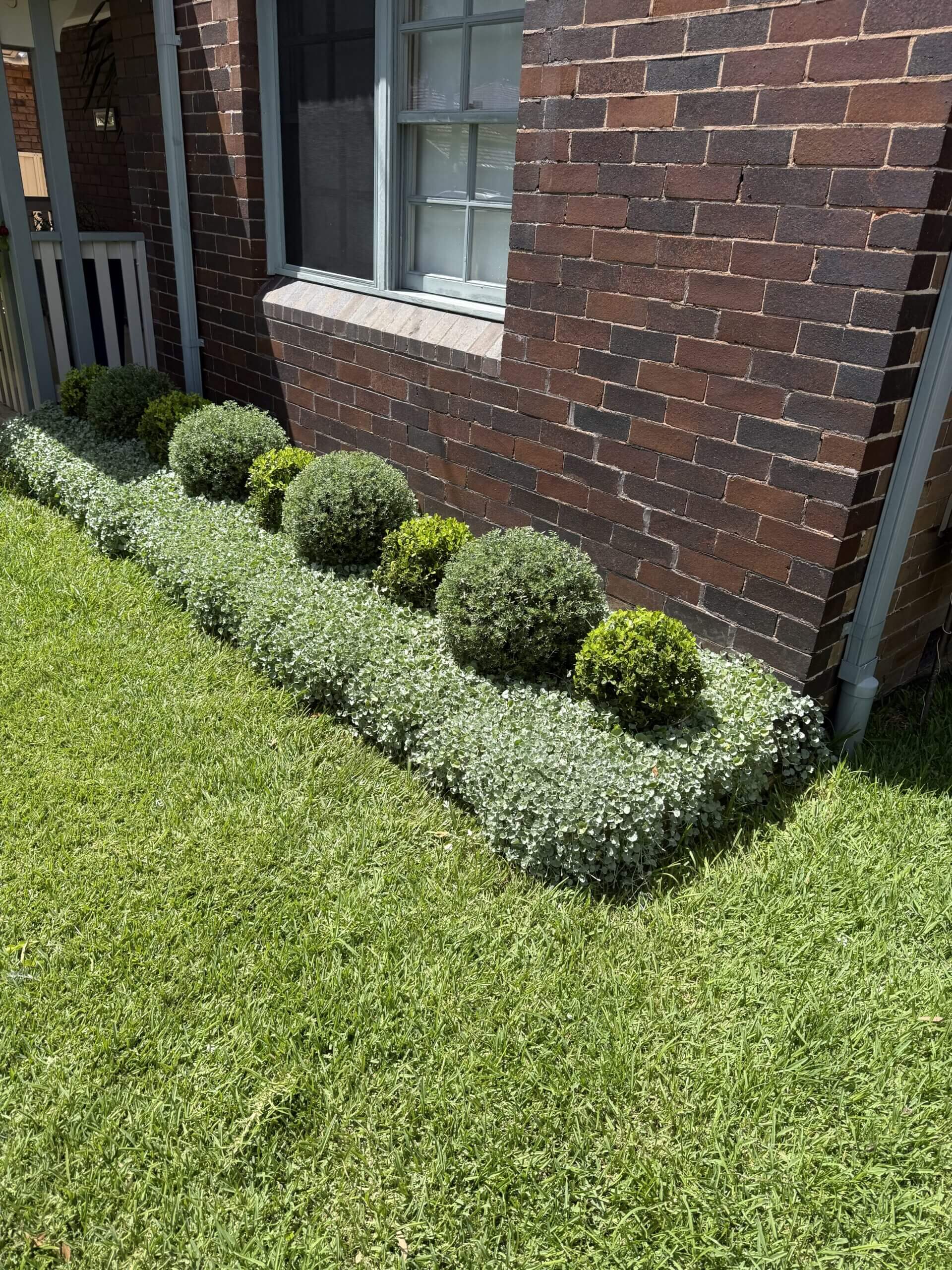 Garden after lawn and landscaping work