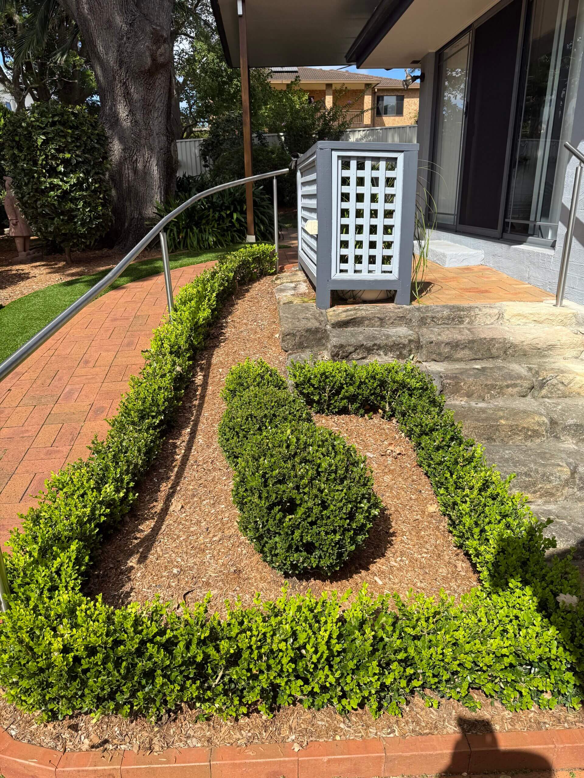 Garden before lawn and landscaping work