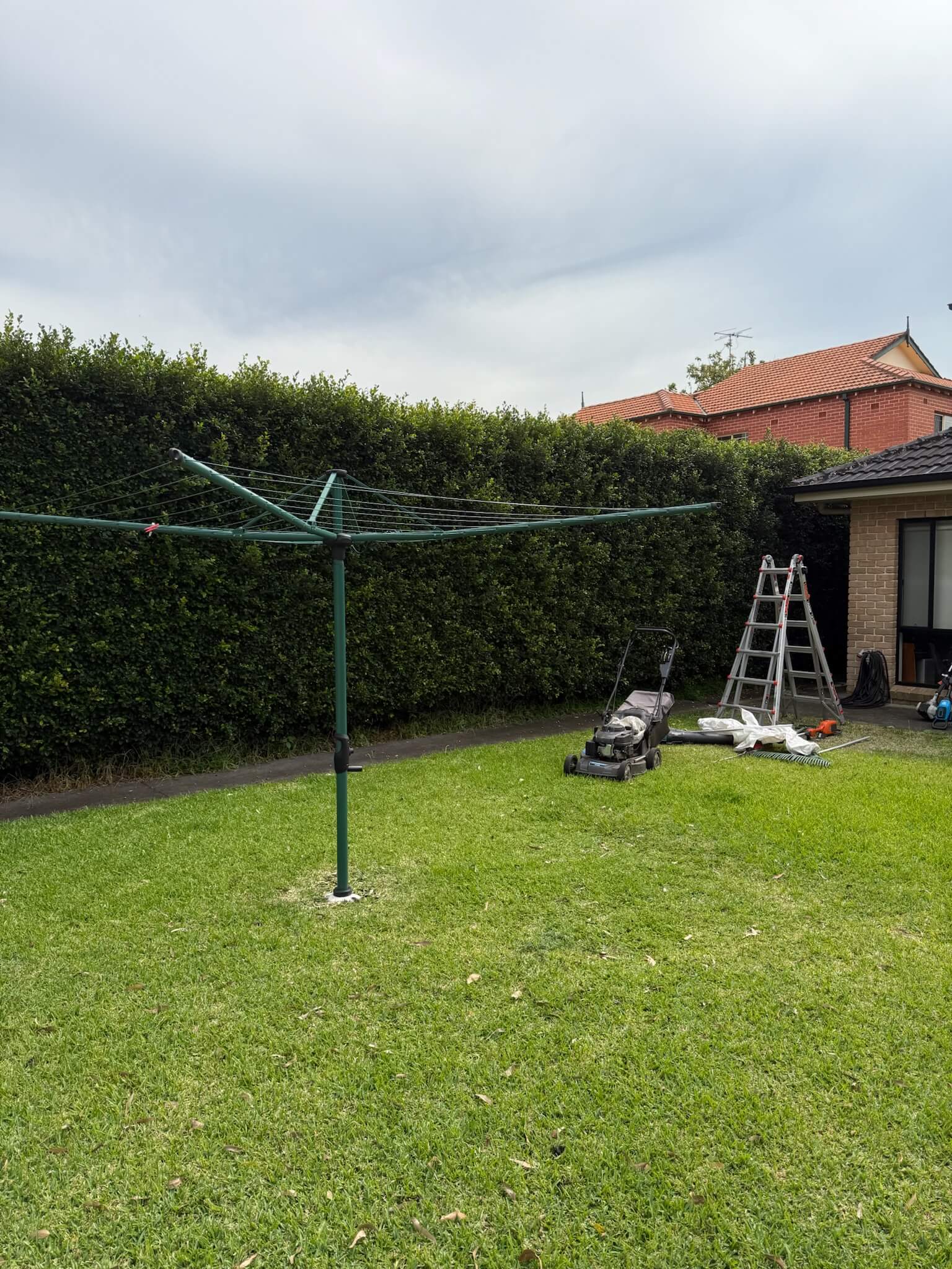 Garden before lawn and landscaping work