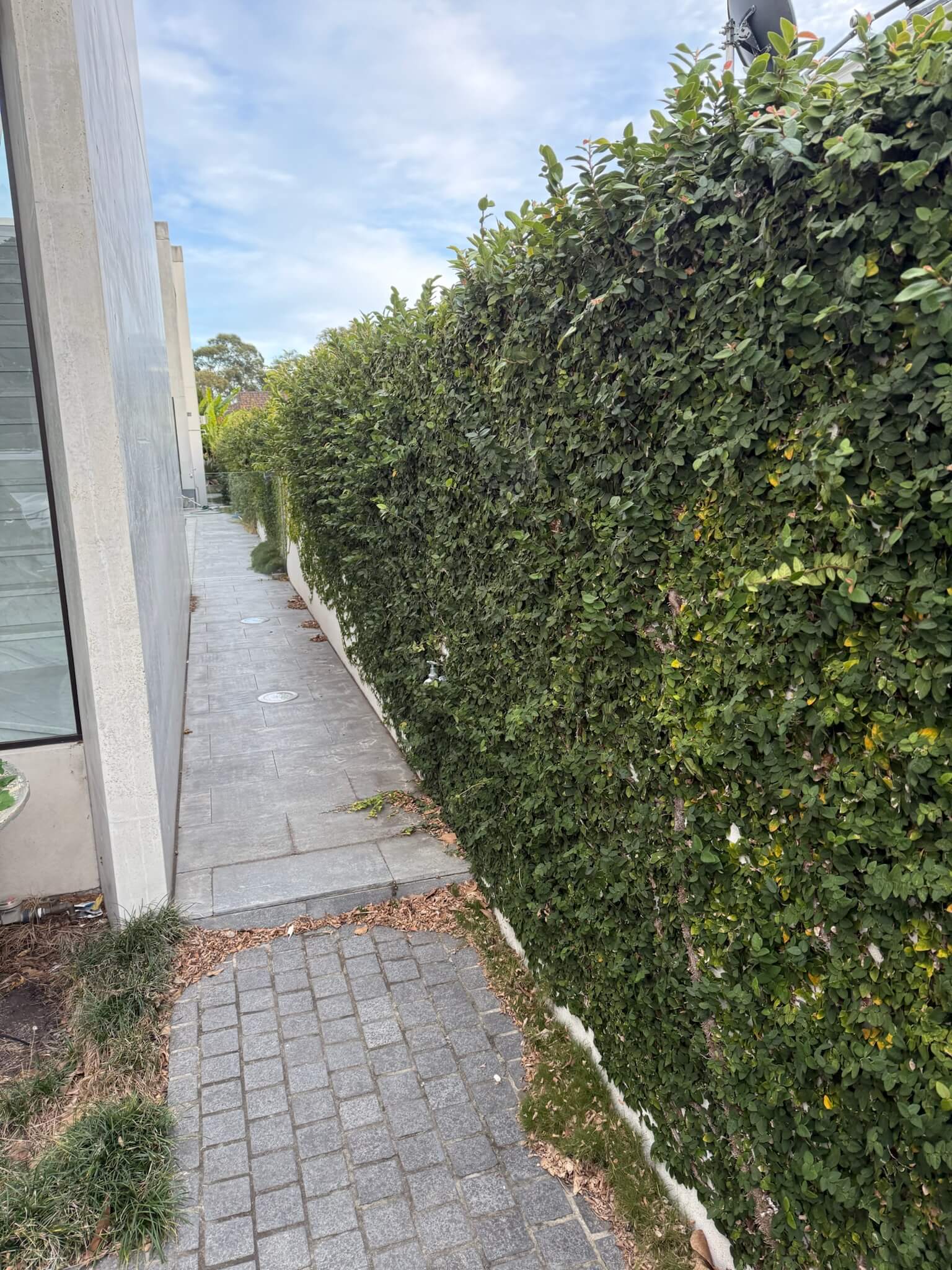 Garden before lawn and landscaping work