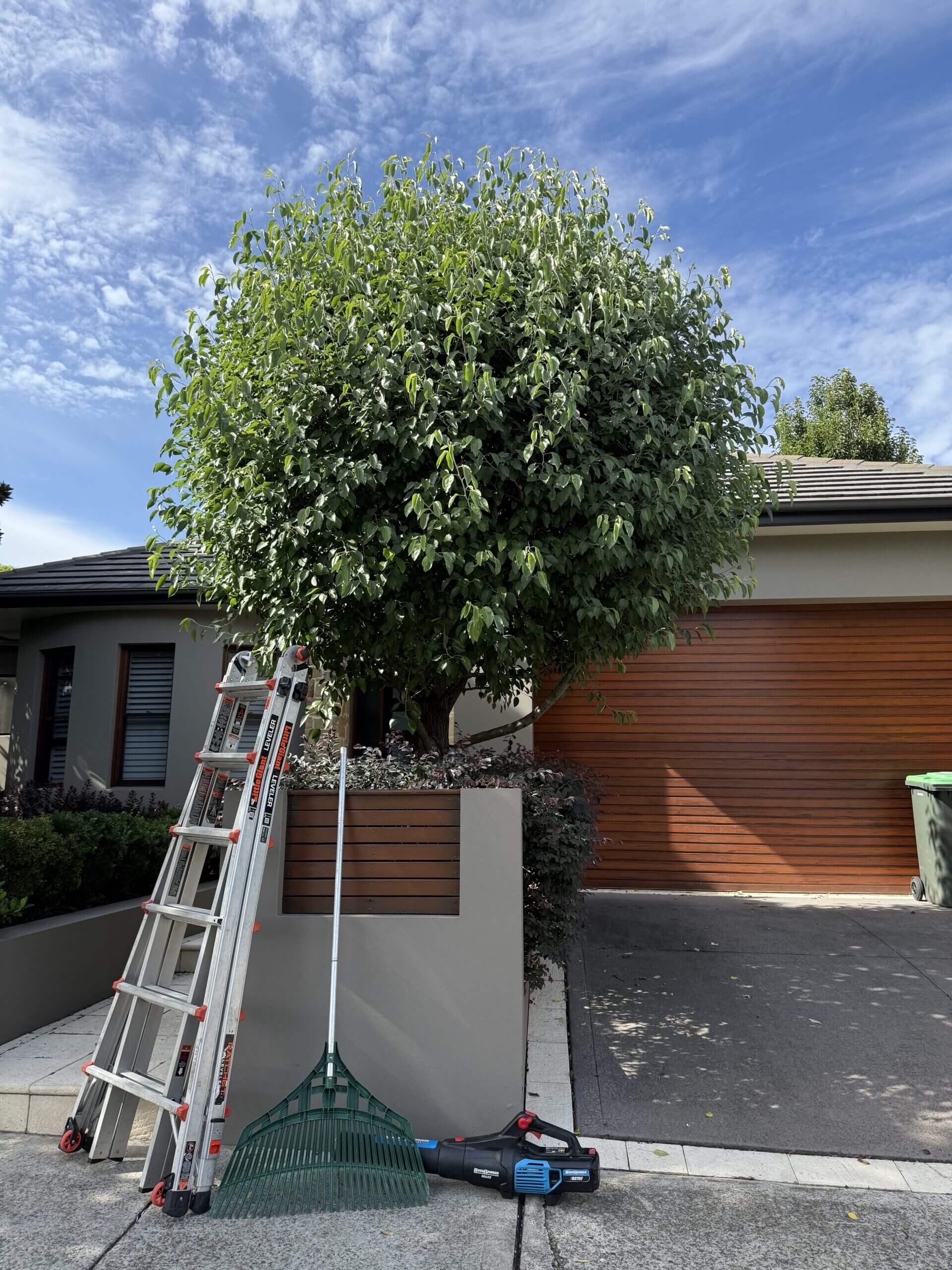 Garden before lawn and landscaping work