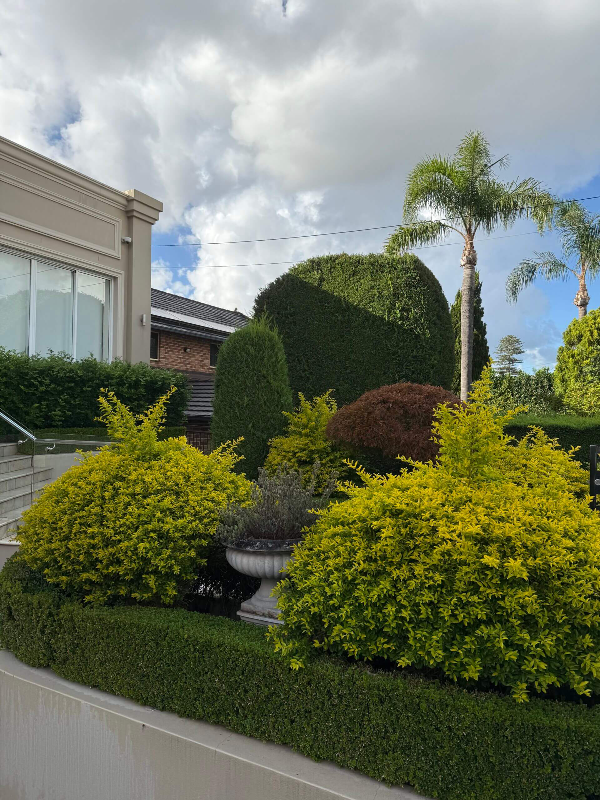 Garden before lawn and landscaping work