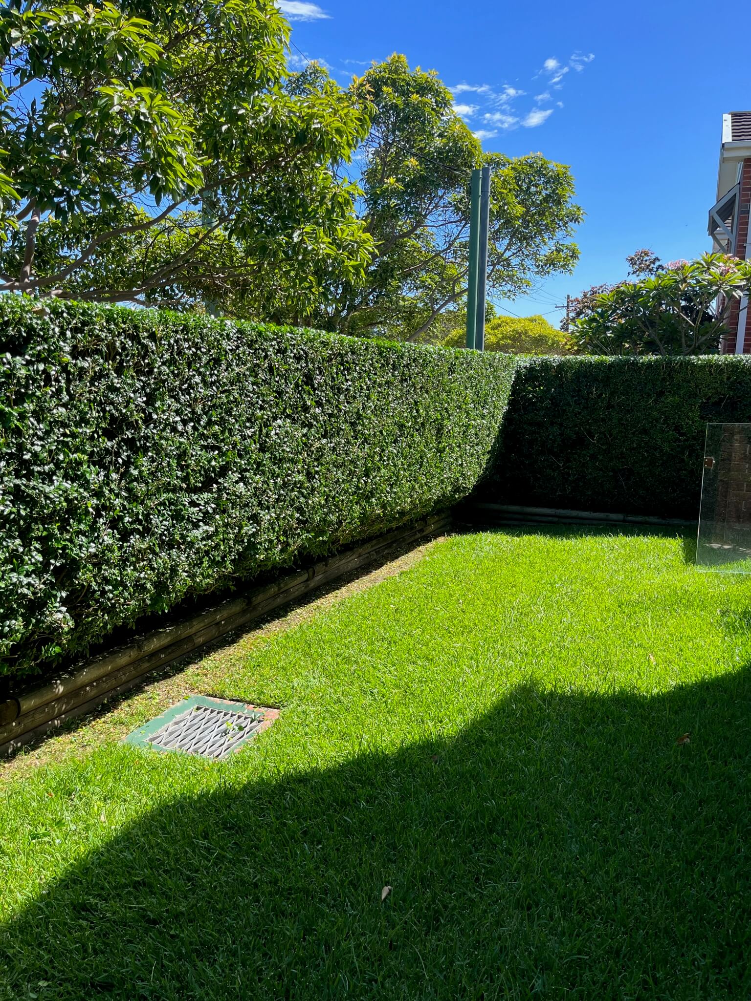 Garden after lawn and landscaping work
