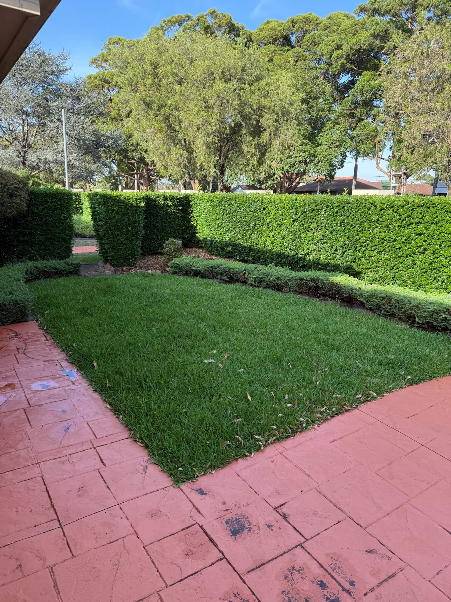 Garden before lawn and landscaping work