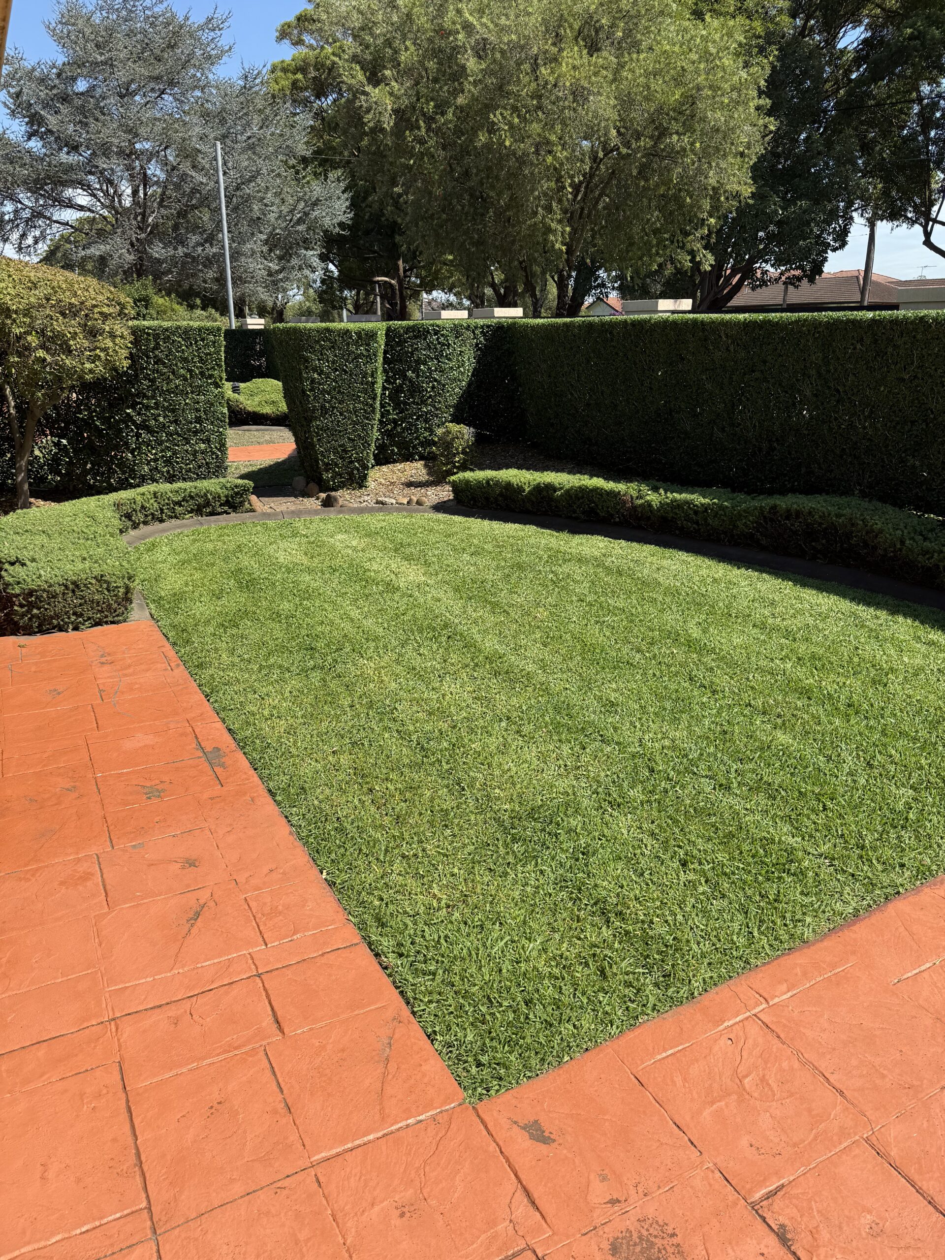 Garden after lawn and landscaping work