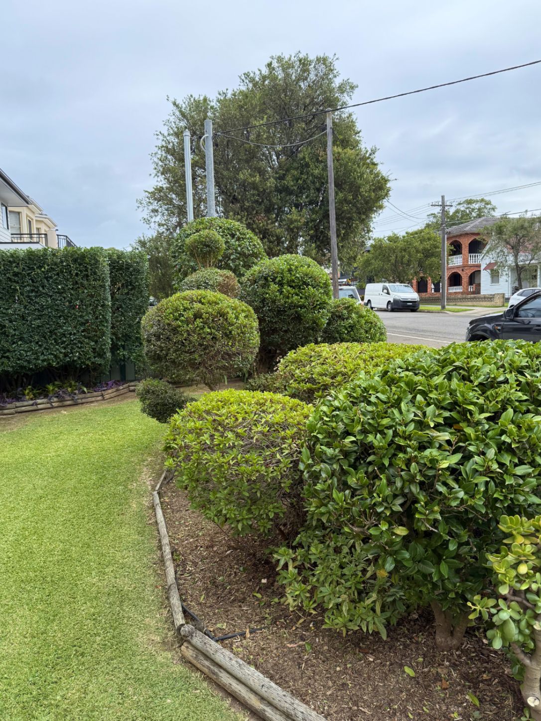 Garden after lawn and landscaping work