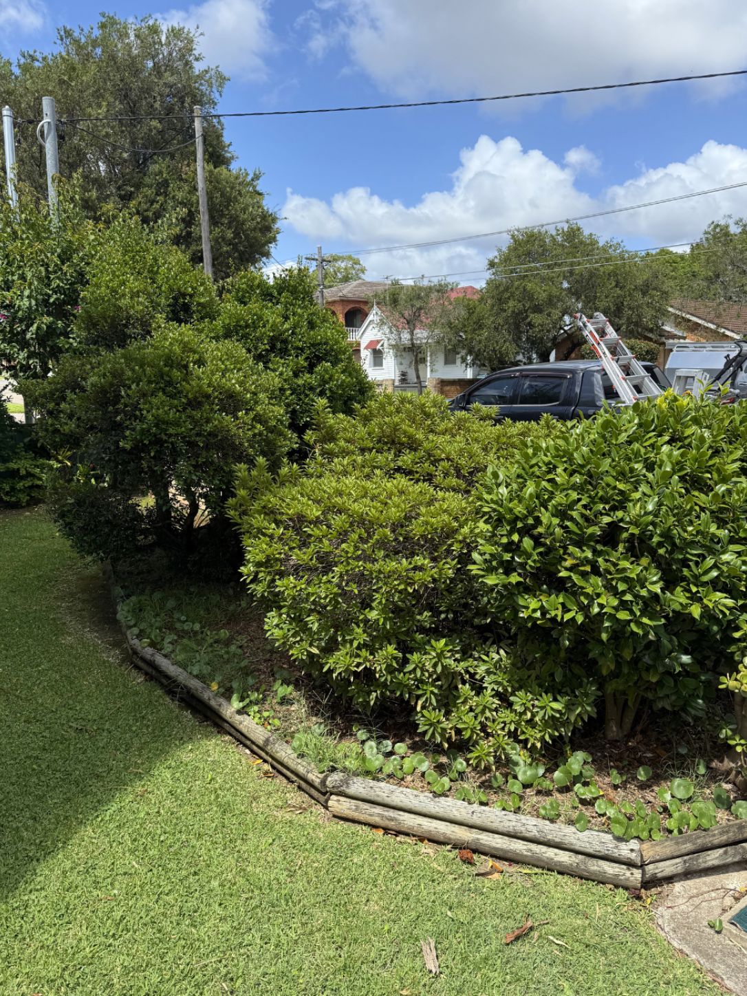 Garden before lawn and landscaping work