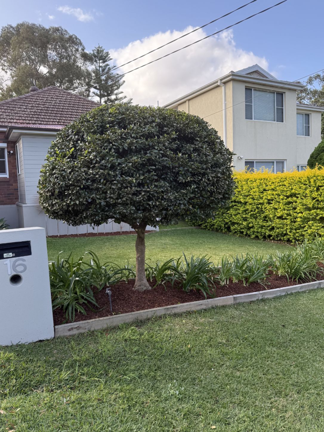 Garden after lawn and landscaping work